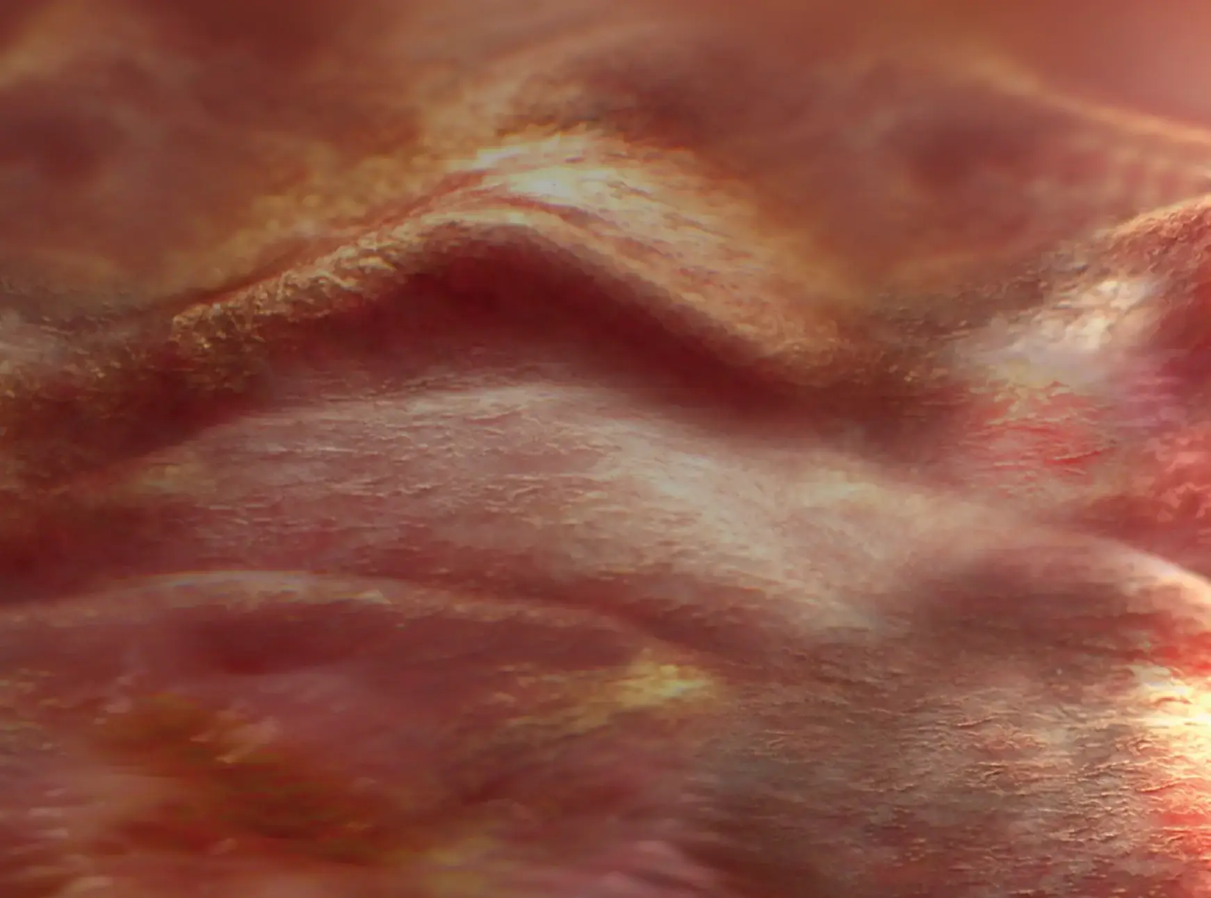 Manage Bioburden Background