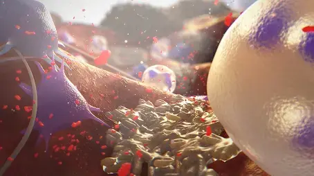 Mechanism of Action Video